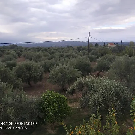 Villa Sparta Anthochori (Sparta)